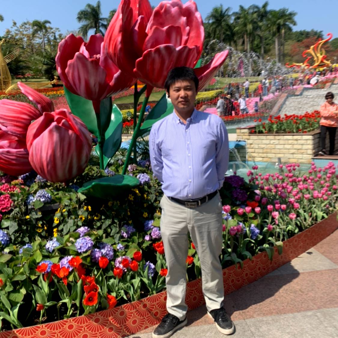 舒心苦恋荼蘼的照片