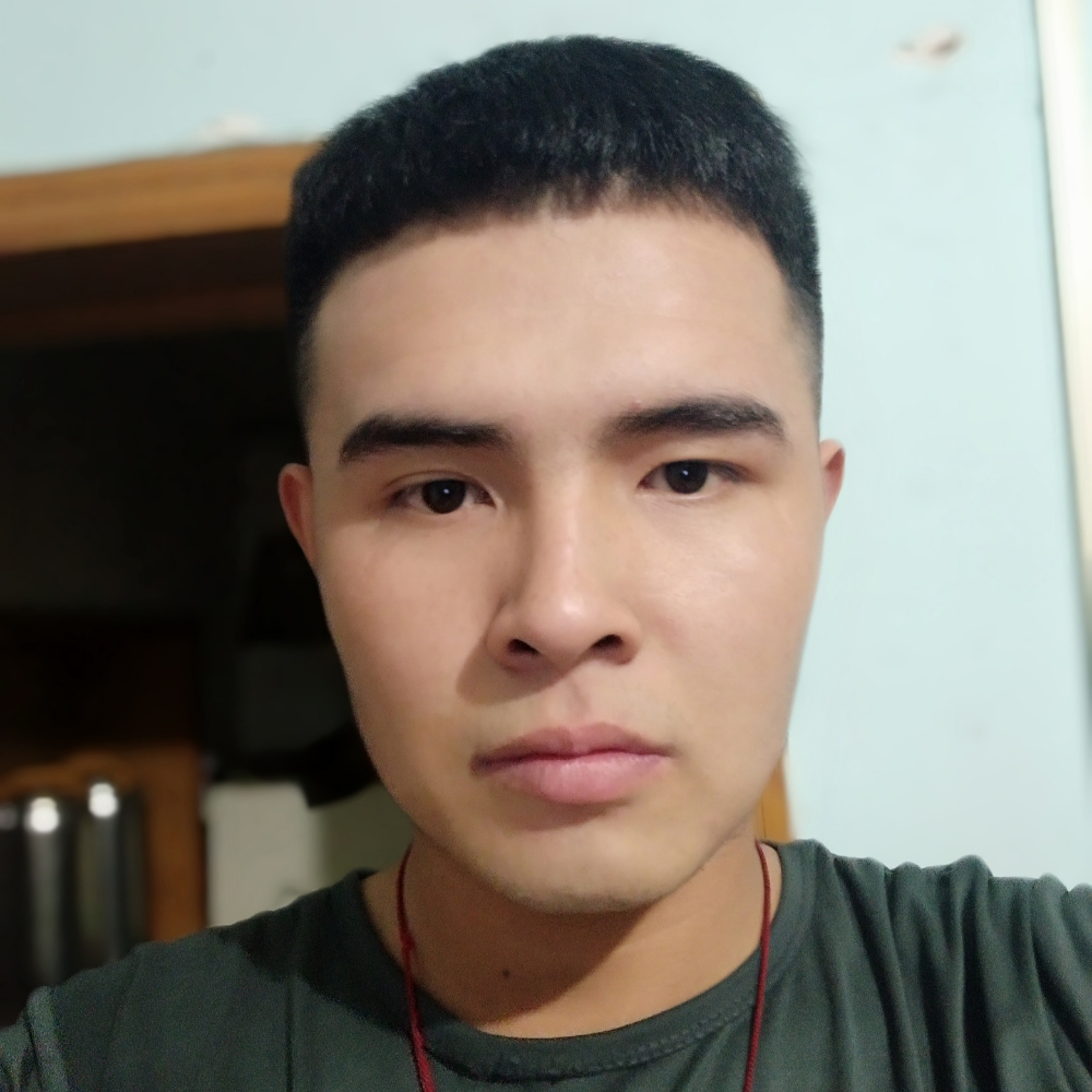 小巧回首树叶的照片