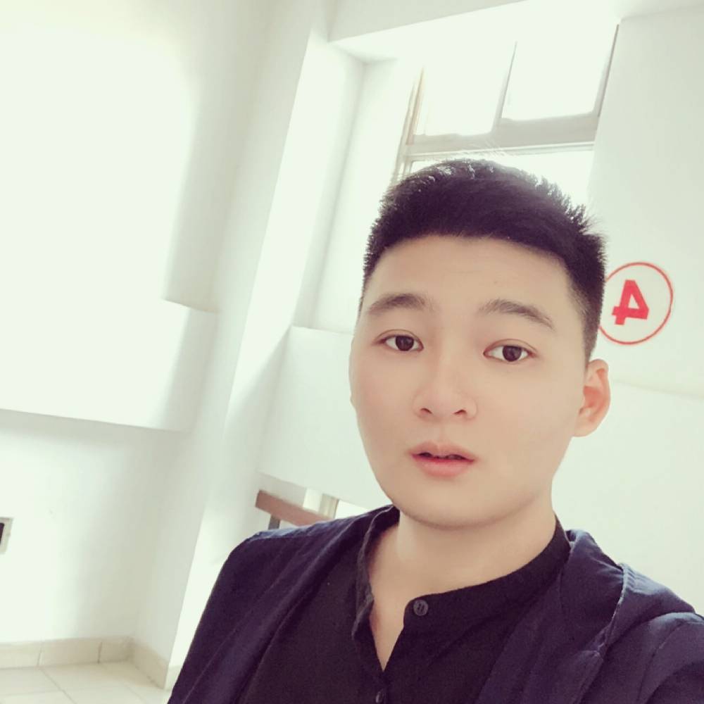 聪明浅吻羽毛的照片