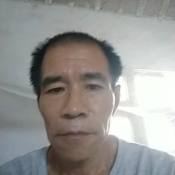 汽车苹果的照片