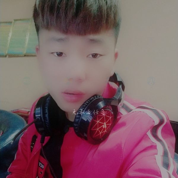 老鼠温婉的照片