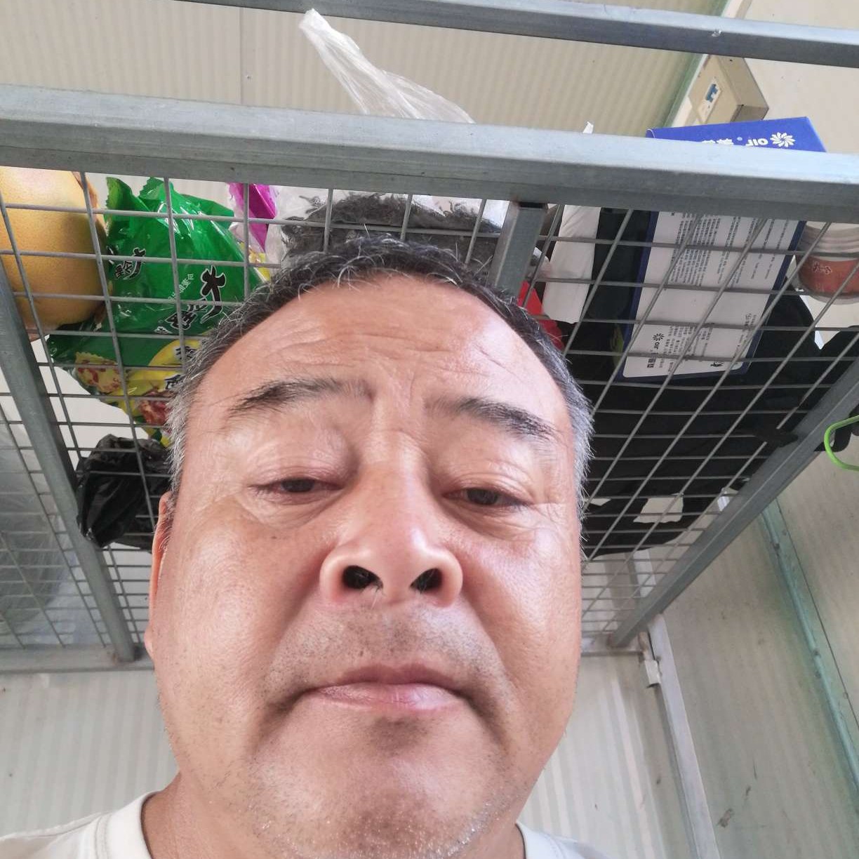 白猫向神勇的照片