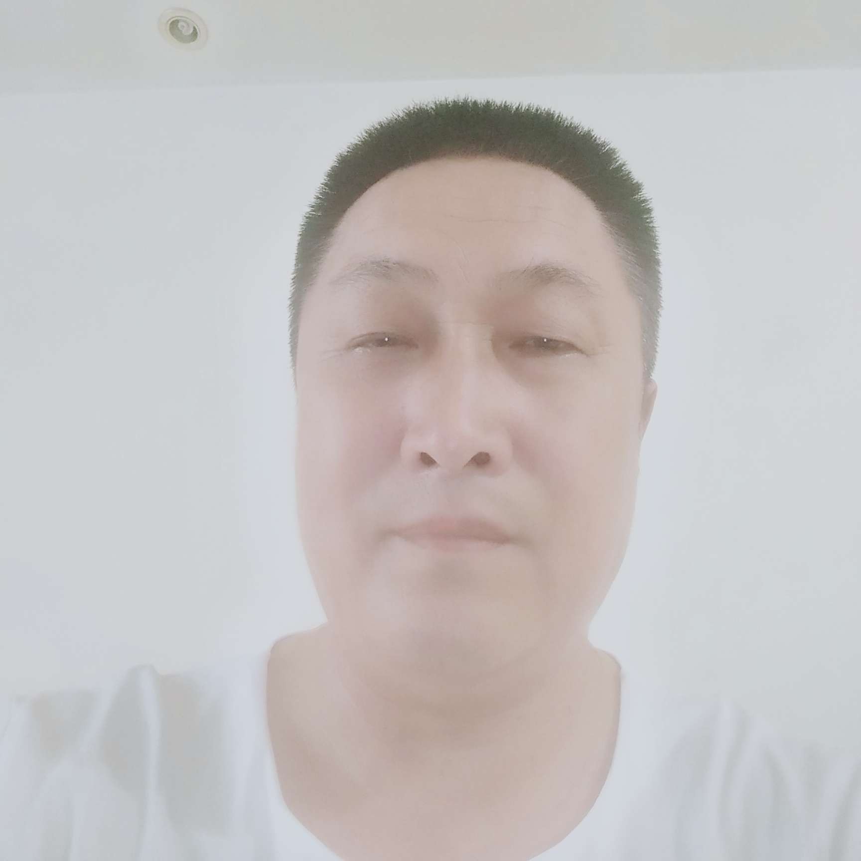 迷离等待向日葵的照片