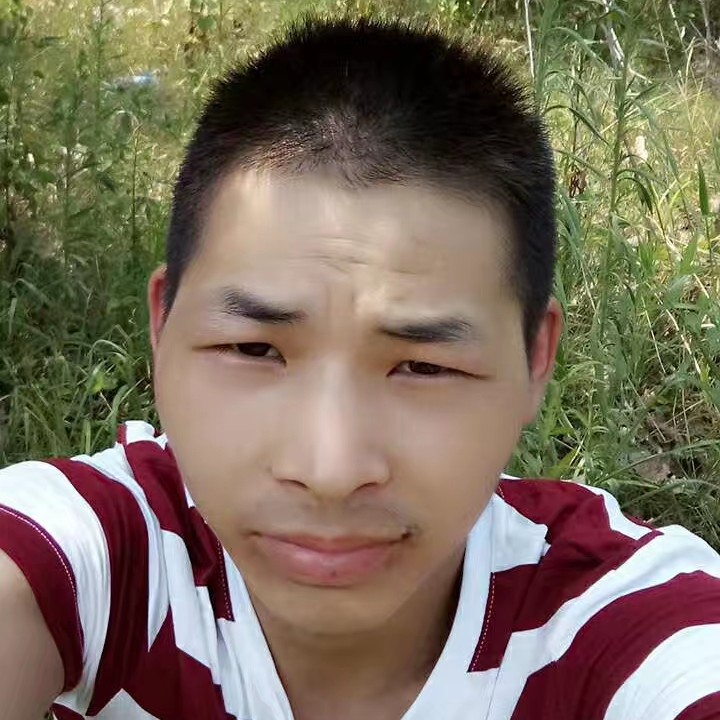 小熊猫感的照片