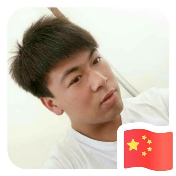 小鸽子务实的照片