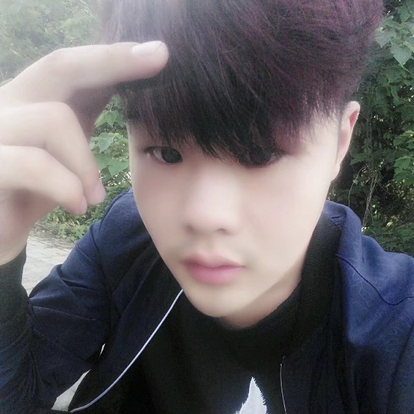 优雅小刺猬的照片