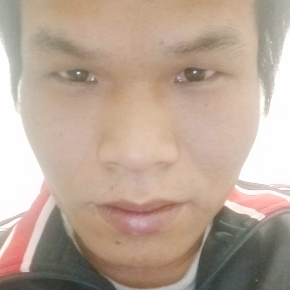 羞涩愿醉月的照片