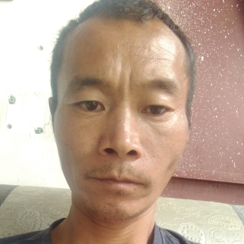 棒棒糖迎明媚的照片