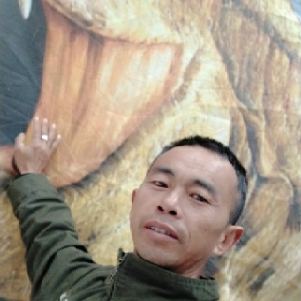 不老玩童的照片