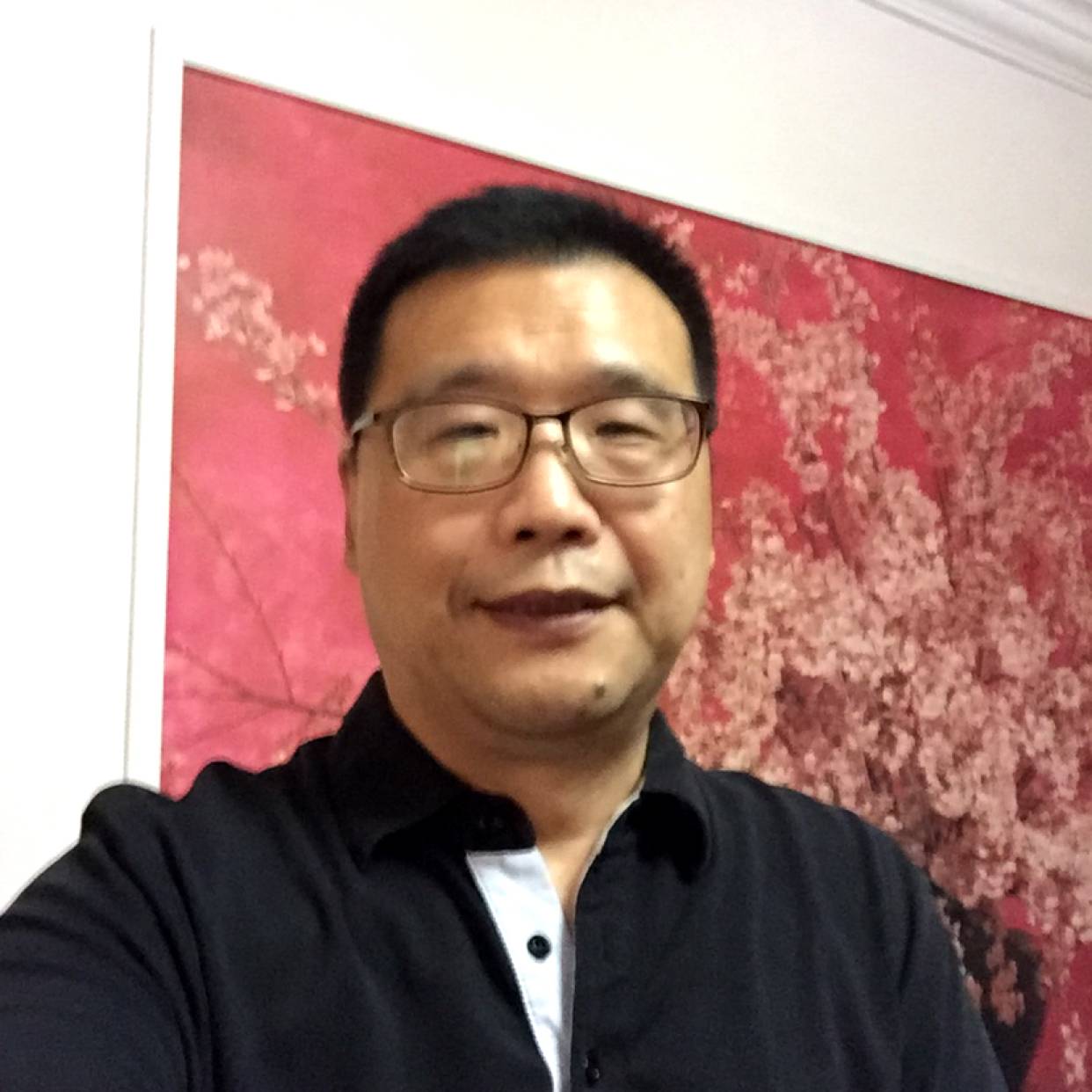 梧桐森森的照片