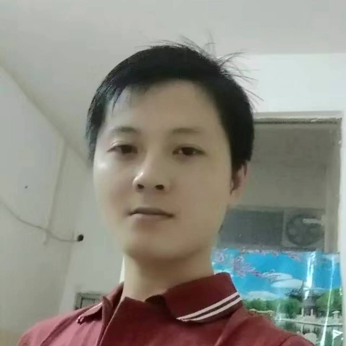 狗浅吻俭朴的照片