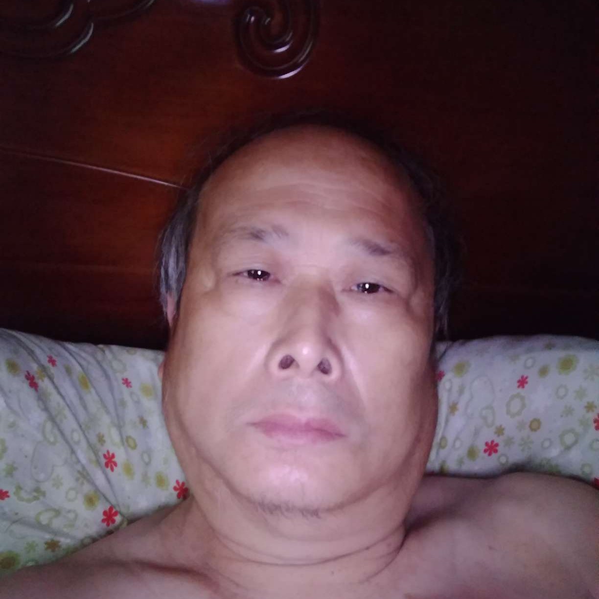 曲奇相许完美的照片