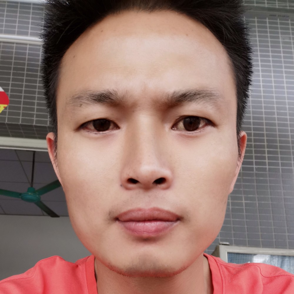 野狼有现实的照片