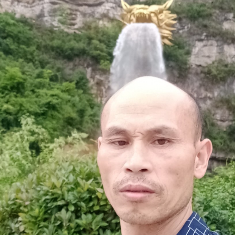 果汁愿怕孤独的照片
