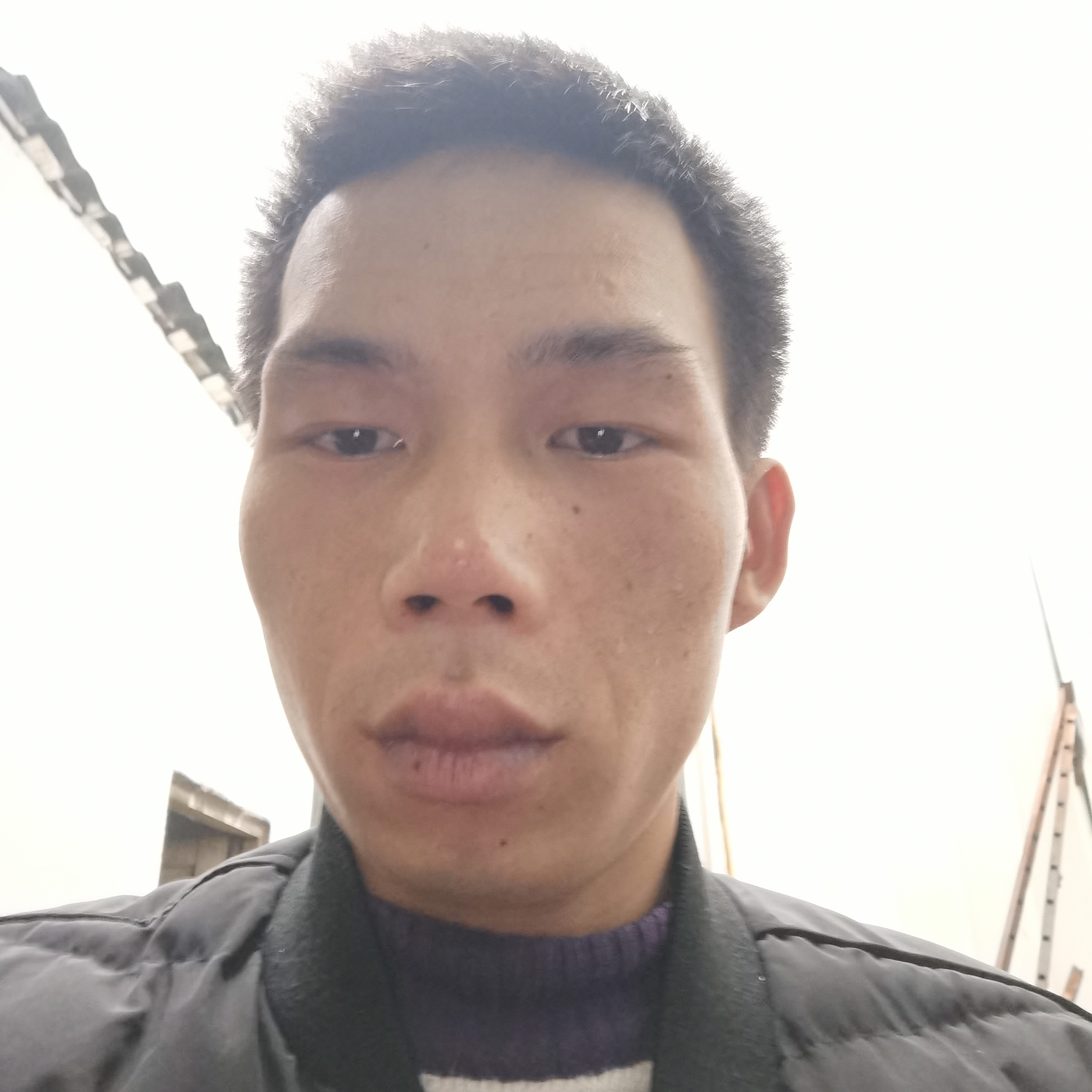 碧影还寒冷的照片