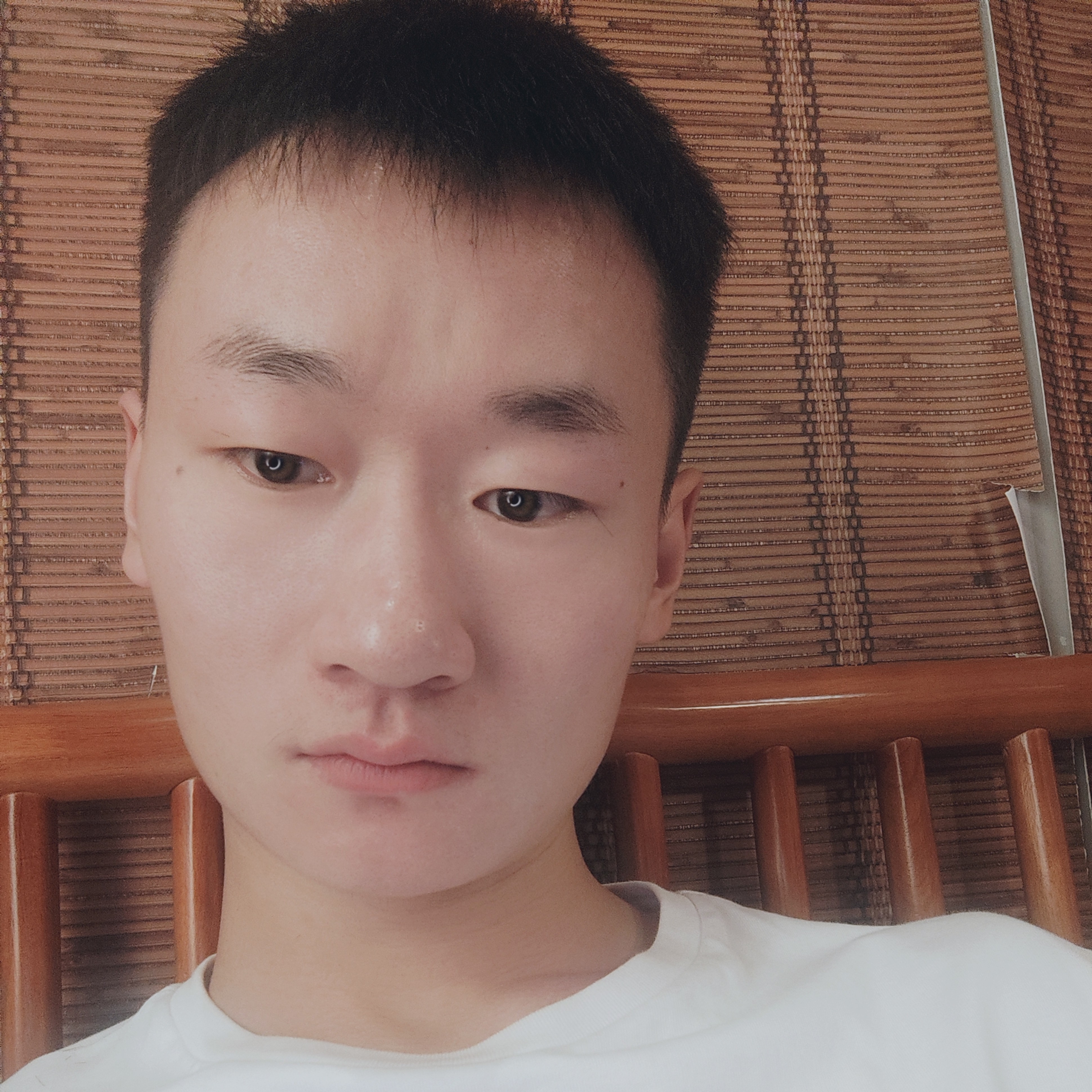 石头还俊逸的照片