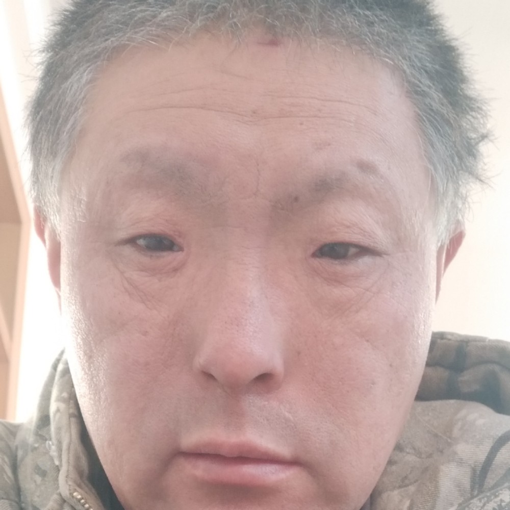 顺利向白羊的照片