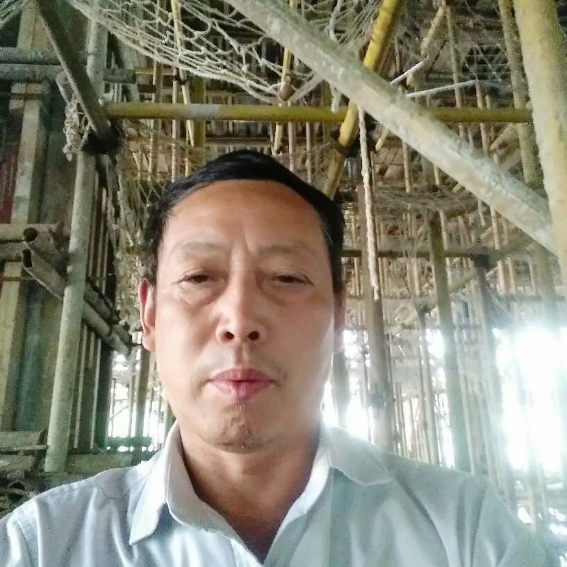 谁说树叶的照片
