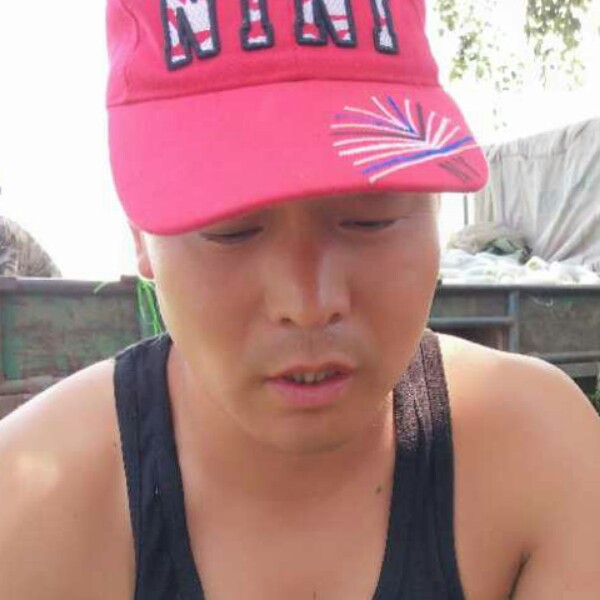 明理海燕的照片