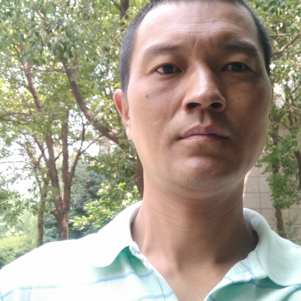 何宗伟的照片