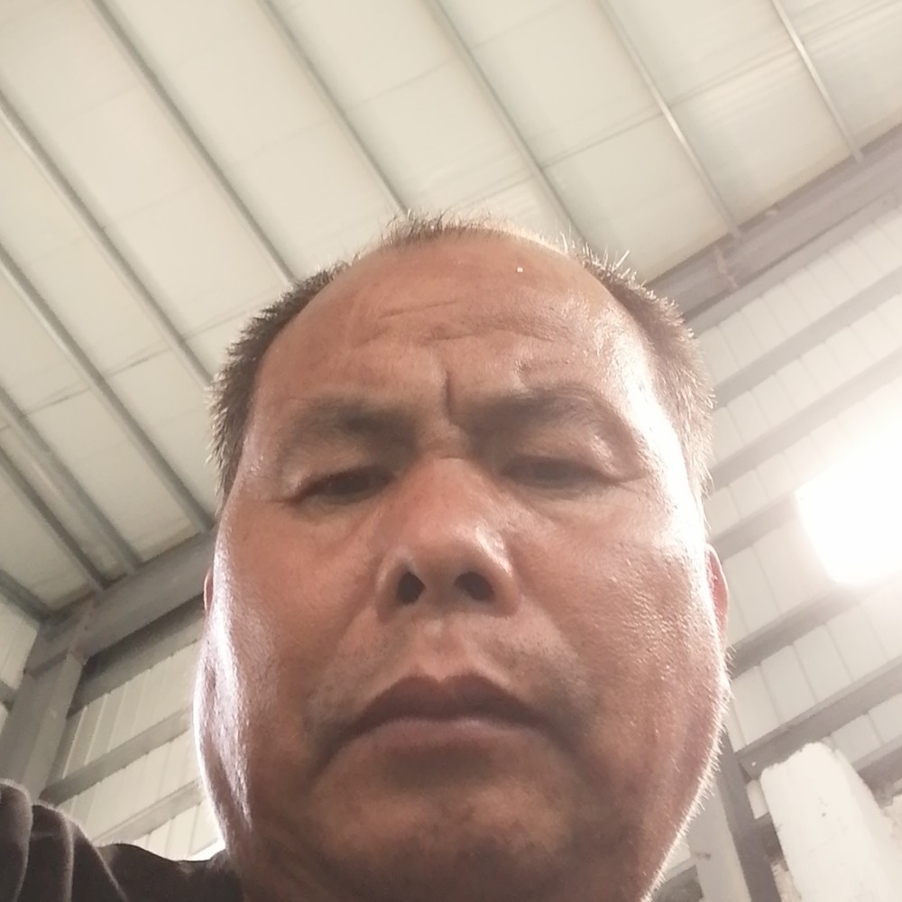 庆提的照片