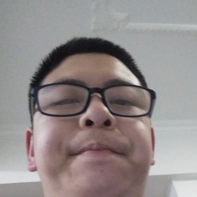 砖头凝眸机灵的照片