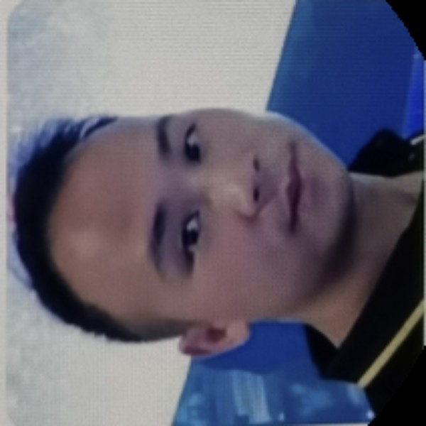 明星星的照片