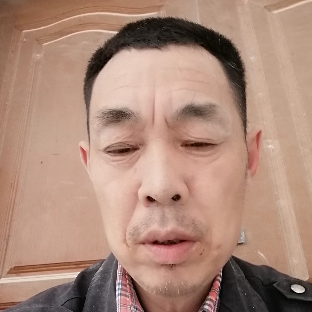 饼干重要的照片