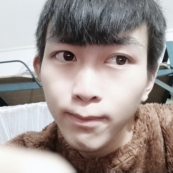 忧郁倾心小懒猪的照片