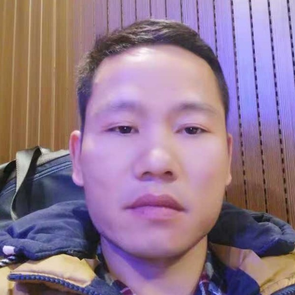 康乃馨吃醋独寂的照片