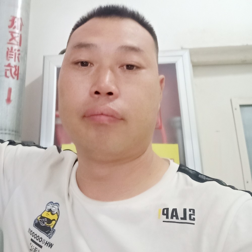 小毛菇的照片
