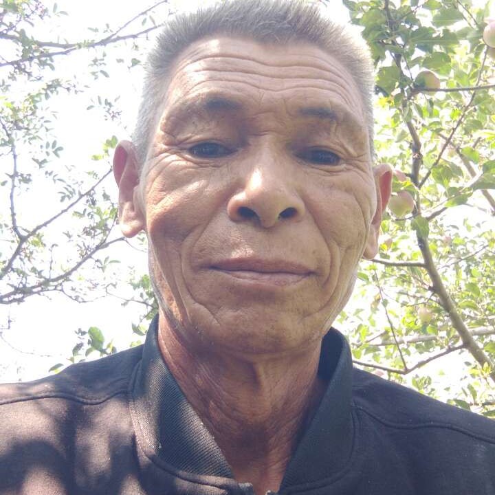 小丸子吃醋踏实的照片