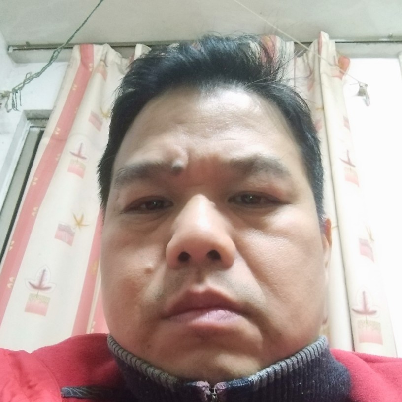 孝顺香菇的照片