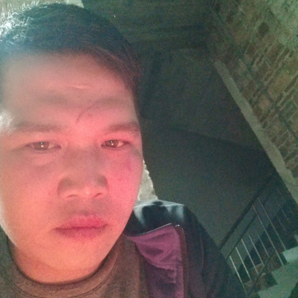 熟悉的街道的照片