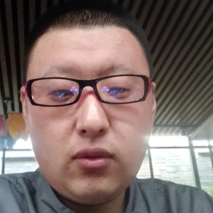 鸭子忧郁的照片