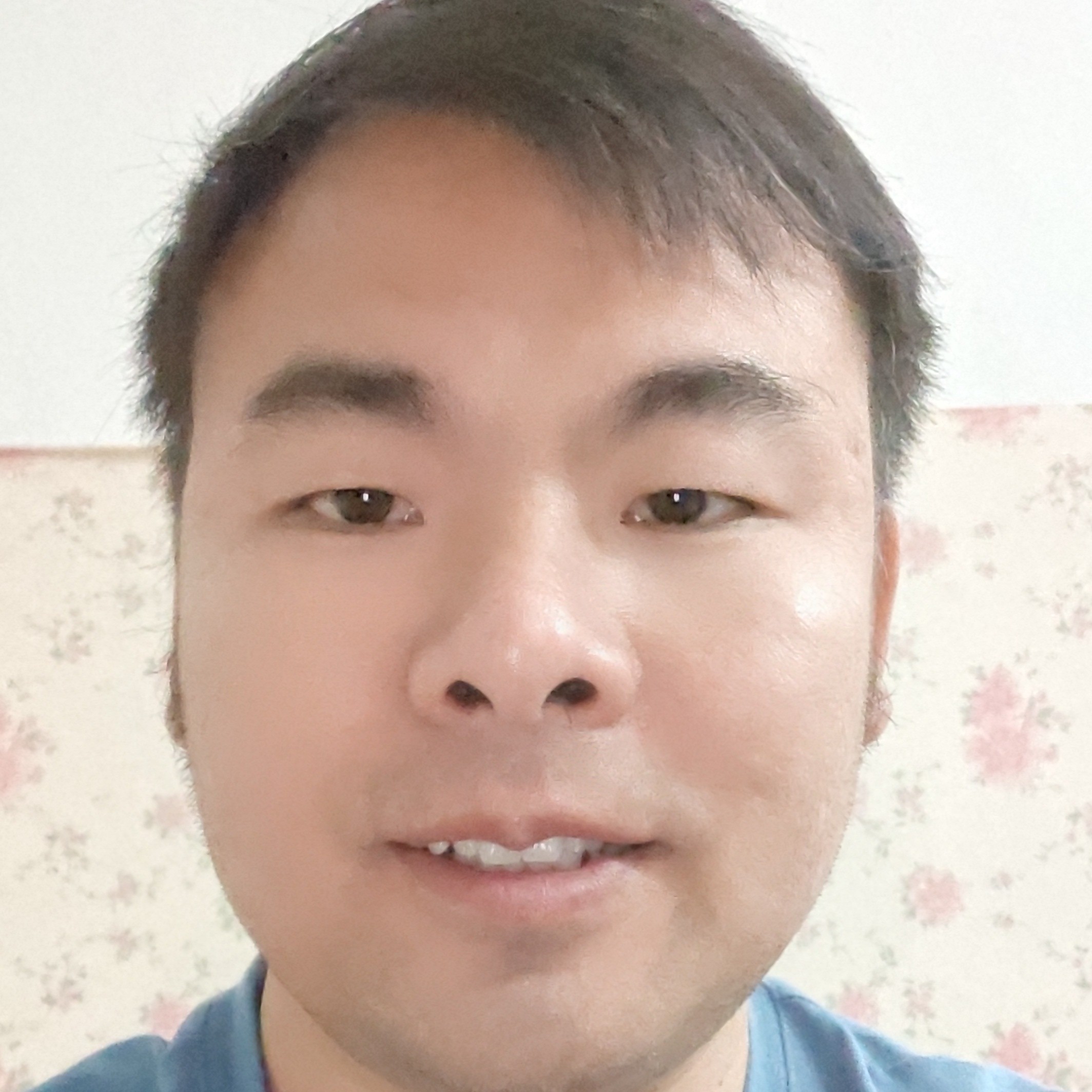 孤独的木的照片