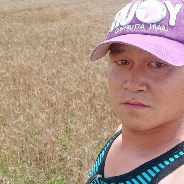 从容灰狼的照片
