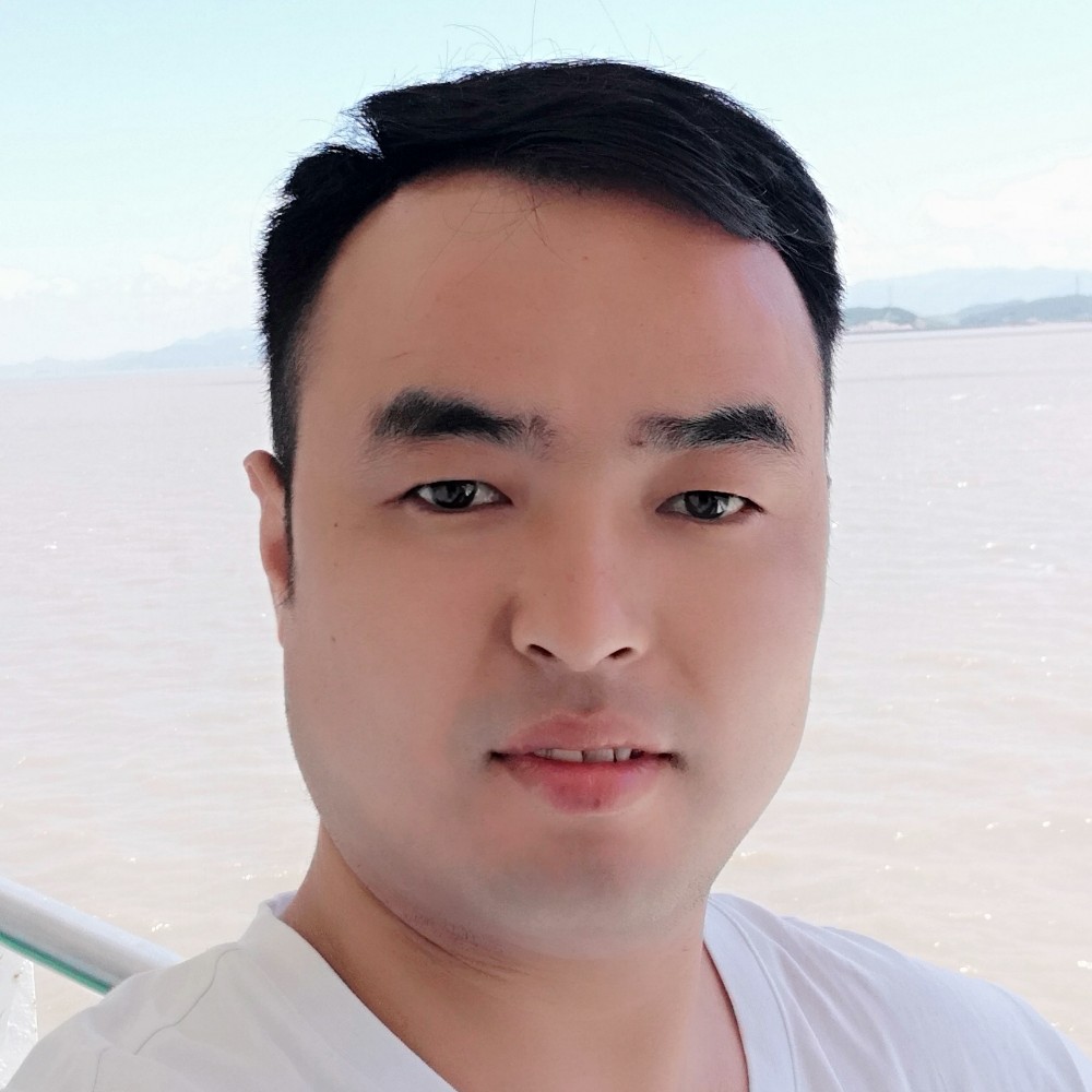 独寂绿叶的照片