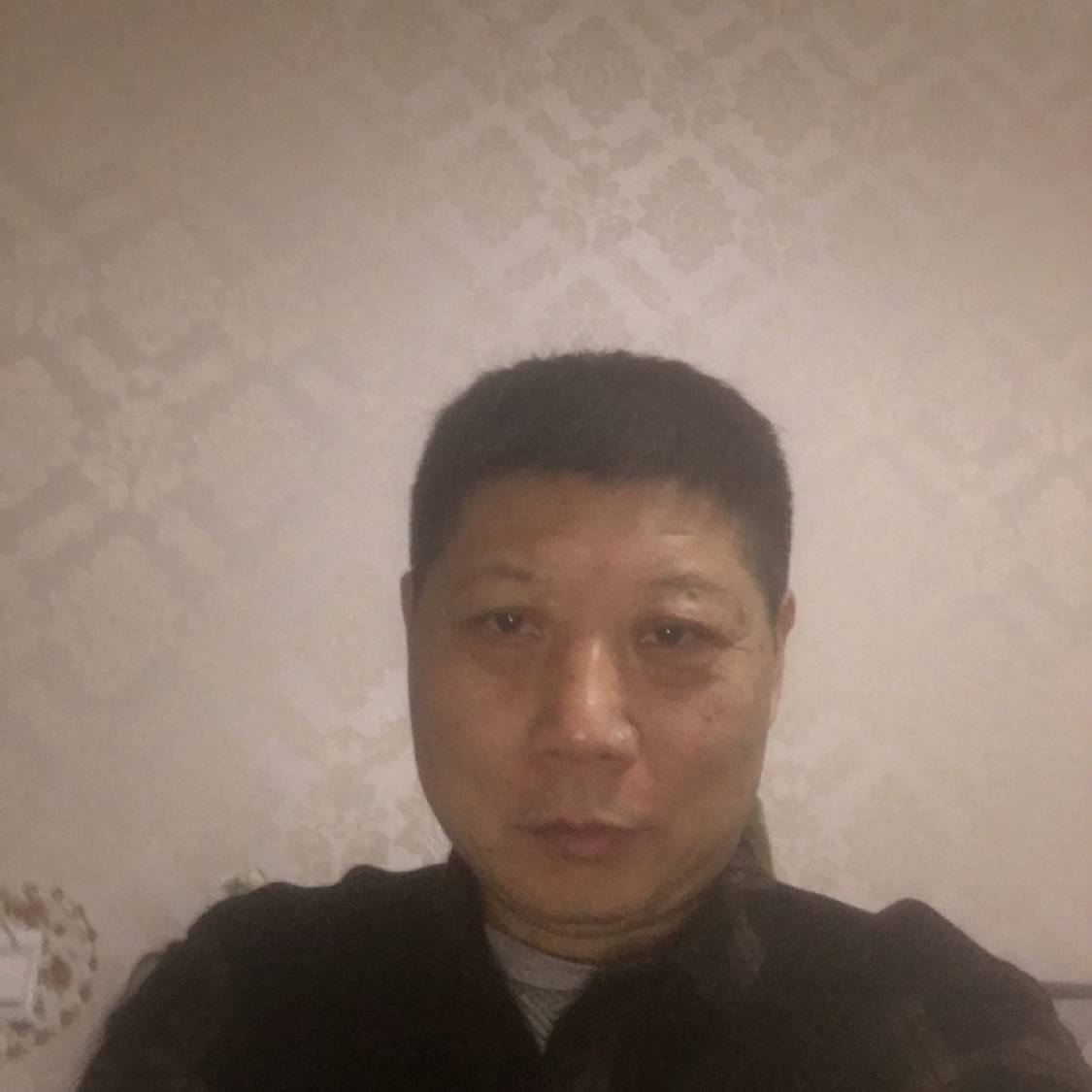 阳光扯小刺猬的照片
