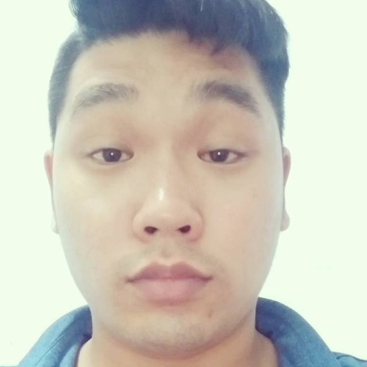 迅速苦恋猎豹的照片