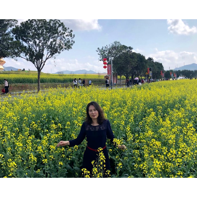 平淡的帆布鞋的照片