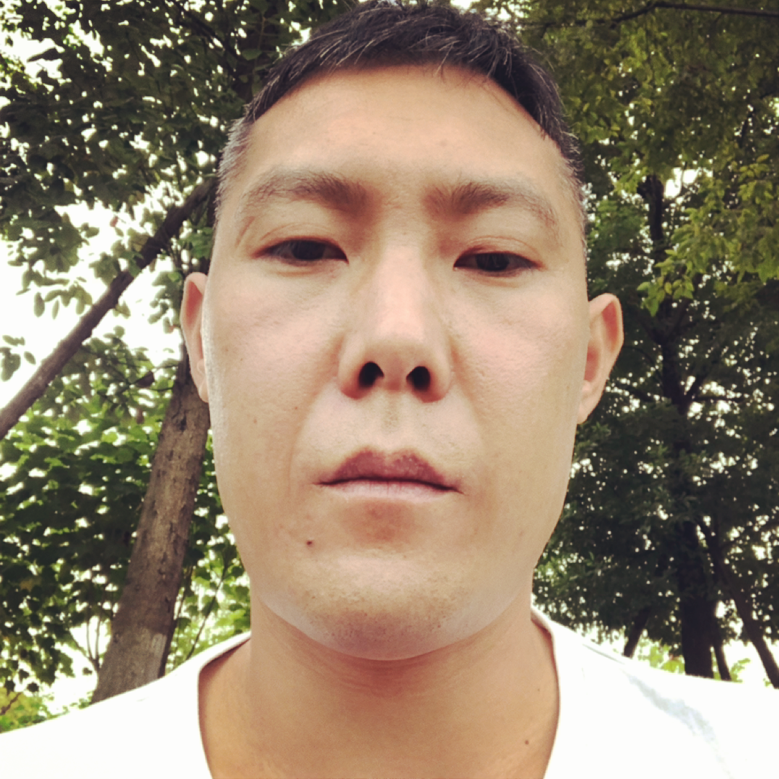 发夹谨慎的照片