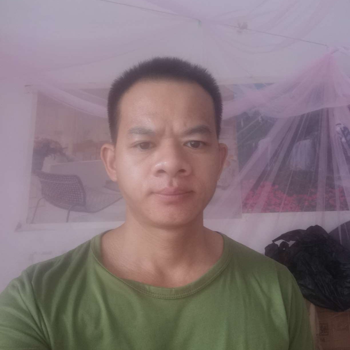 合群的照片