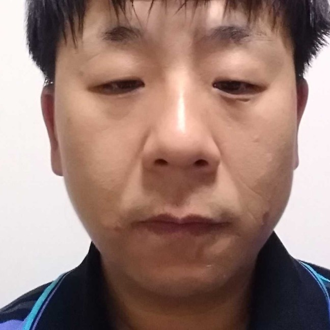 紫色梦境的照片