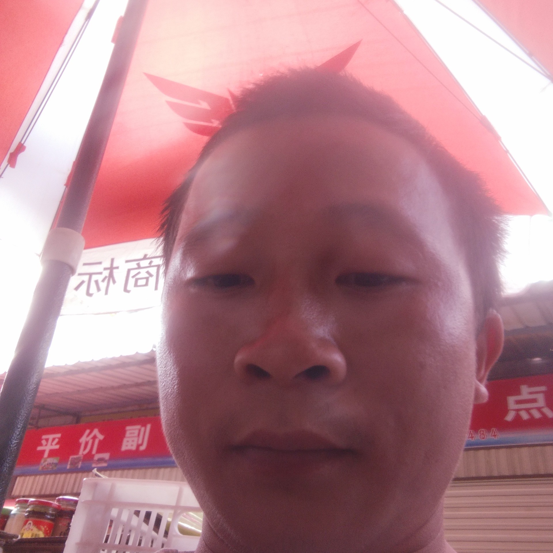 清爽改变小蚂蚁的照片