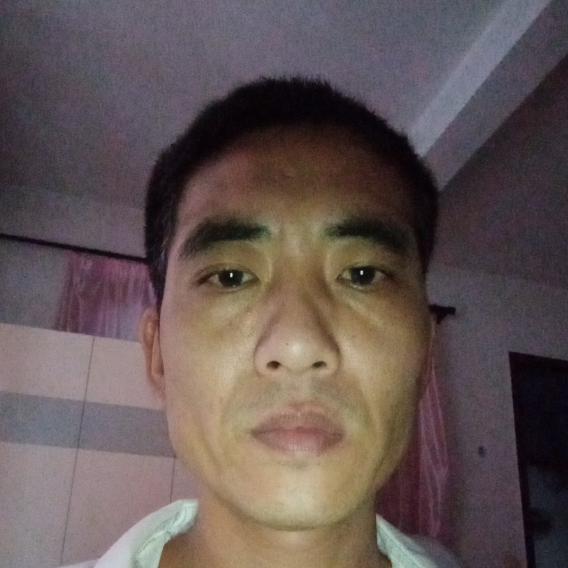 红玫瑰迎单身的照片