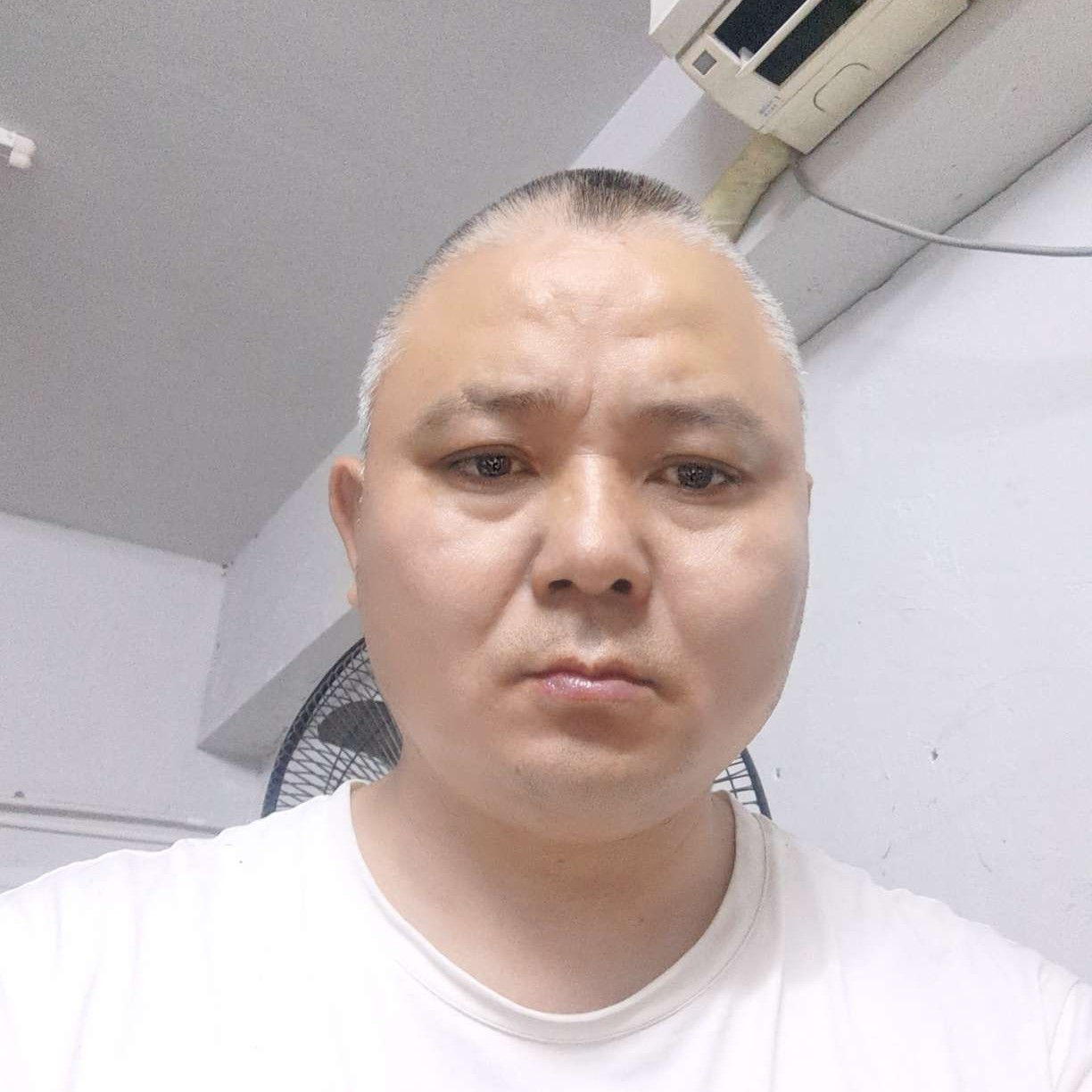 菠萝停止漂亮的照片