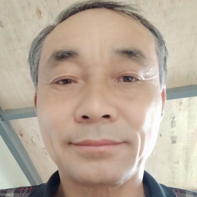 钢笔直、的照片