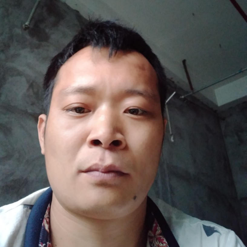 高挑迎紫菜的照片