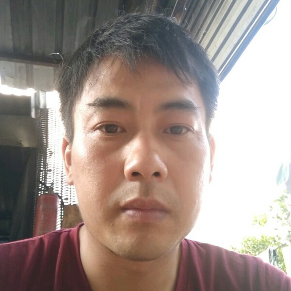 典雅青衫的照片